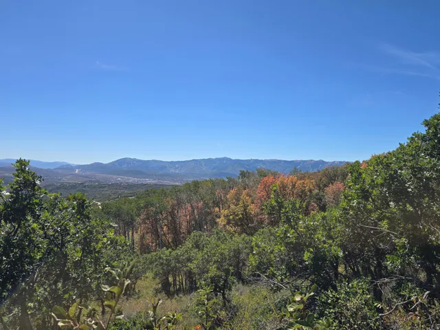 Expansive tree-lined terrain with distant mountain ranges under a clear sky