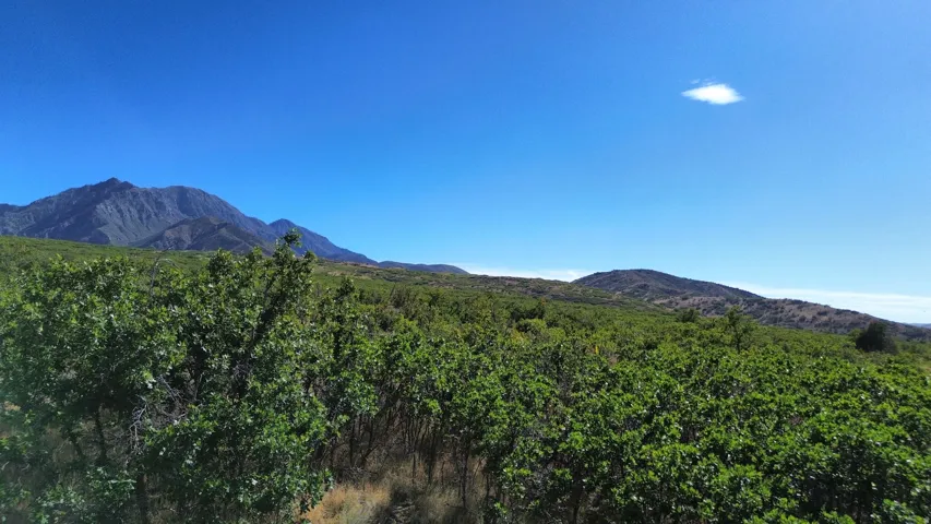 Mountain range backdrop with expansive natural landscaping