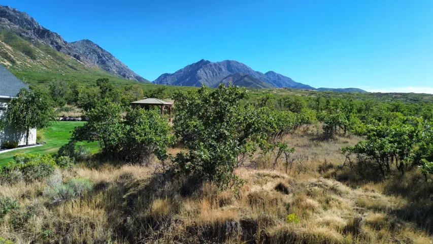 Expansive natural landscape with varied terrain, mature trees, and mountainous backdrop