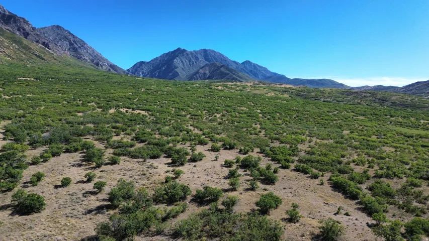 Expansive natural landscape with varied terrain
