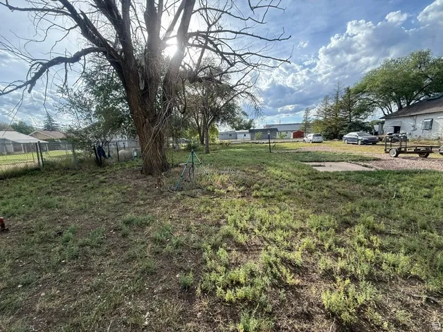 Expansive backyard with a mature tree, perimeter fencing, and partial concrete patio