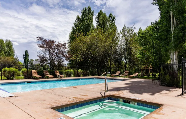 Swimming pool with an integrated spa, surrounded by a concrete deck and mature trees