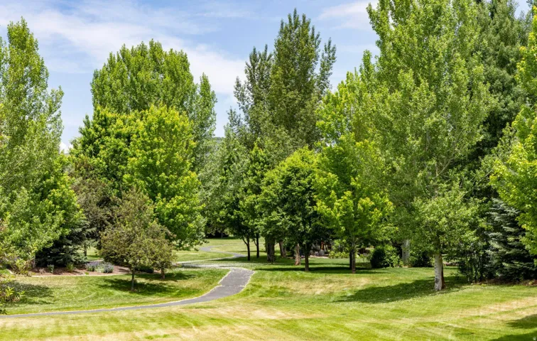 Expansive green space featuring a winding paved path, mature deciduous trees, and evergreen shrubs