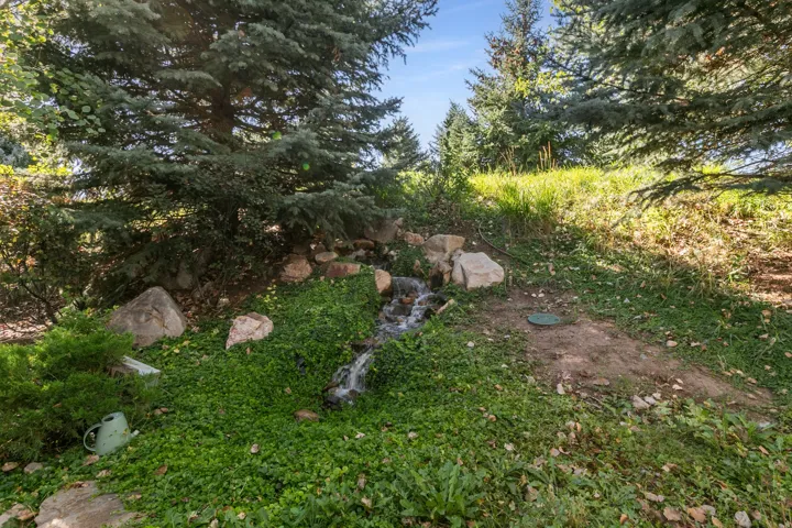 Natural water feature with surrounding rock elements, mature evergreen trees, and ground cover