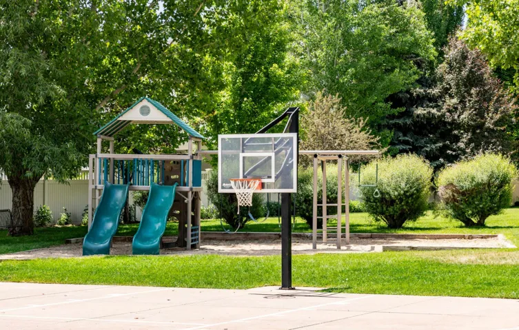 Recreational area featuring a basketball hoop, play structure with two slides, a swing set, and mature landscaping