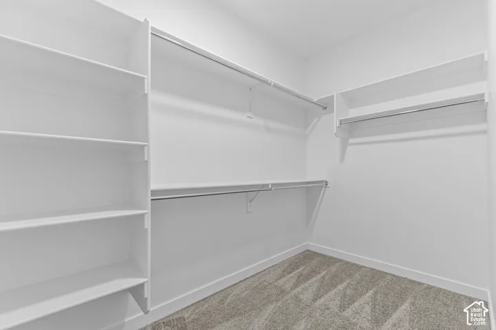 Walk-in closet featuring white built-in shelving and dual-tier clothing rods with carpeted flooring