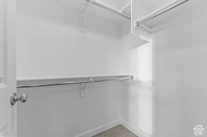 Walk-in closet featuring tiered metal hanging rods, built-in shelving, and carpeted flooring