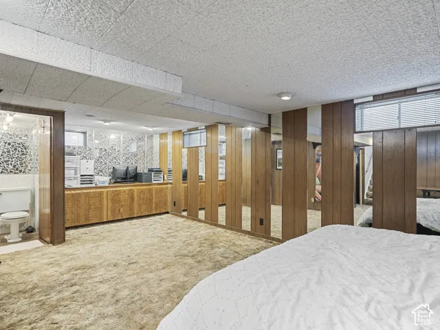 Basement family room