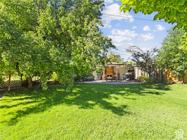 Expansive backyard featuring a lawn, mature trees, a concrete patio, and a built-in outdoor fireplace