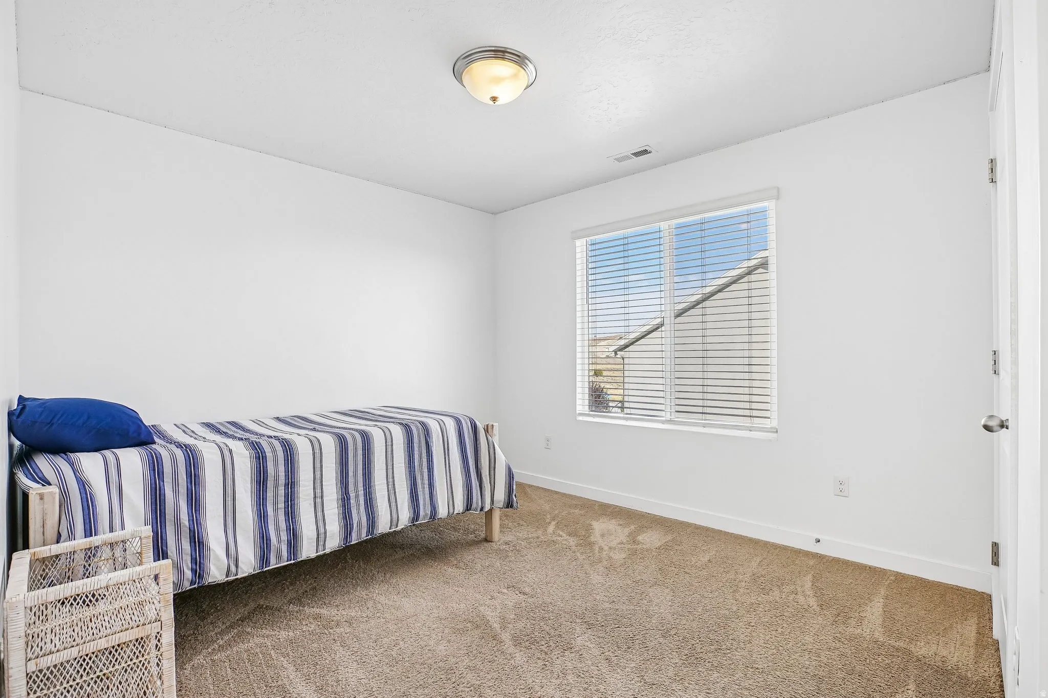 Neutral wall paint, carpeted flooring, window with blinds, and ceiling-mounted light fixture