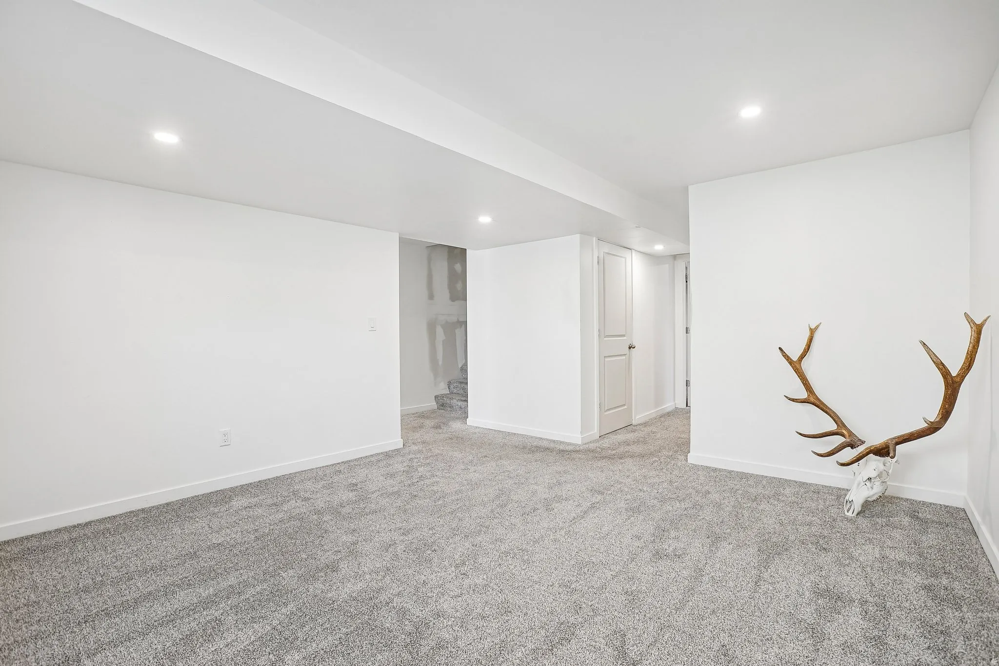 Recessed lighting, light gray carpeting, crisp white walls, and a white two-panel door