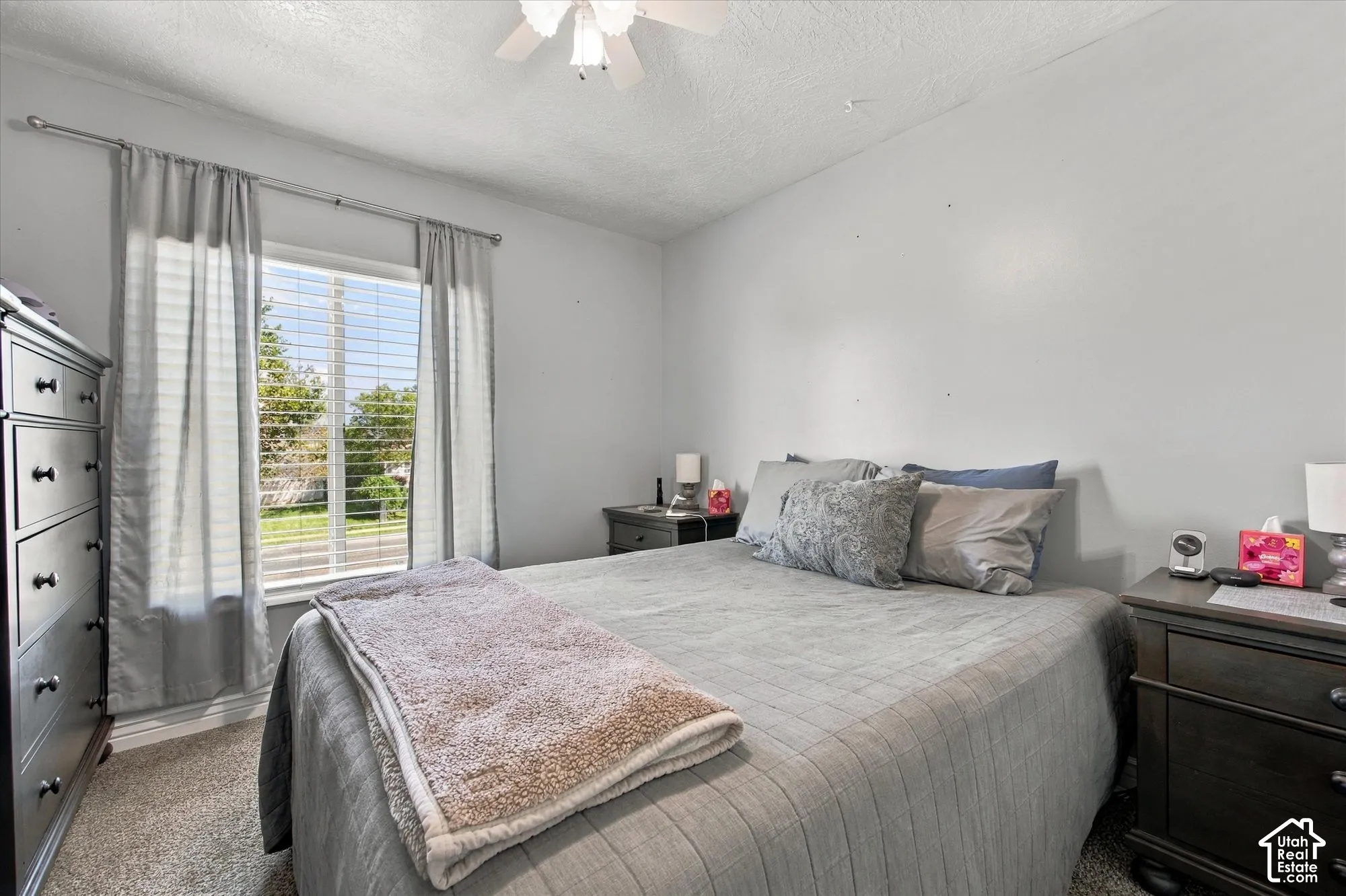 Textured carpeting, a window with blinds, and a ceiling fan with light fixture