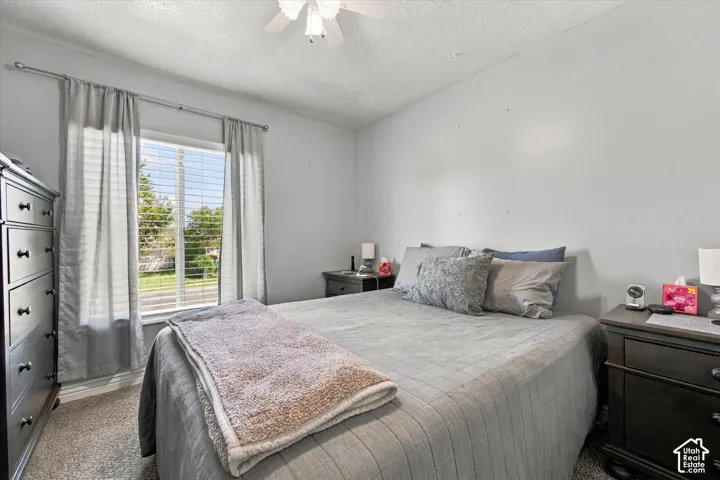 Textured carpeting, a window with blinds, and a ceiling fan with light fixture