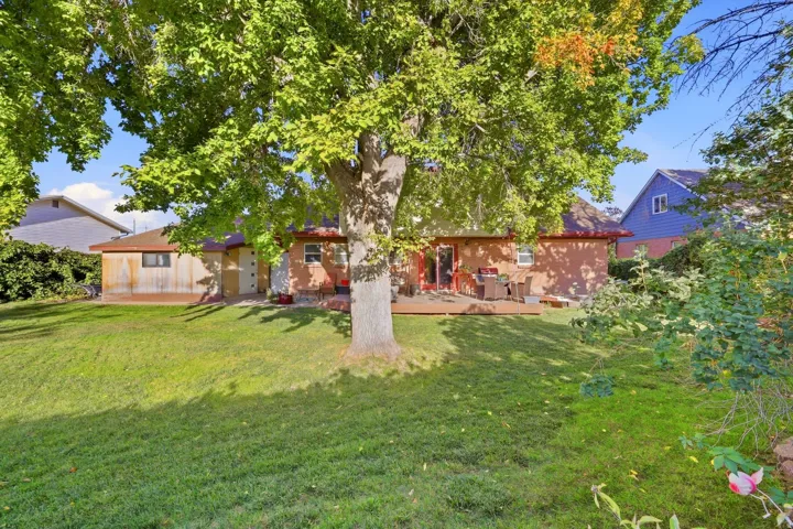 Expansive backyard featuring a mature tree, a wood deck, a stucco exterior, and a detached wood-sided structure
