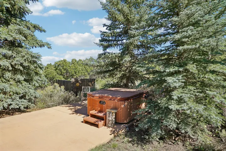 Concrete patio with built-in spa, surrounded by mature trees and natural landscaping