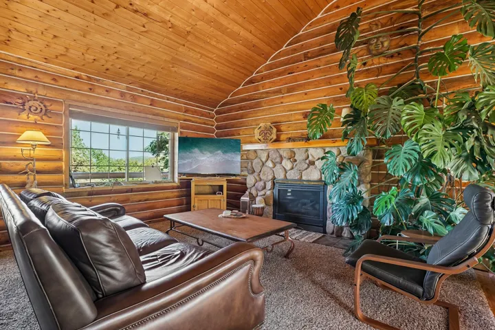 Wood-paneled walls and ceiling, stone fireplace with a dark insert, and a large window with white framing