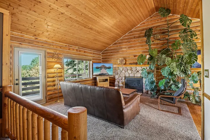 Wood paneling throughout, vaulted wood ceiling, stone-faced fireplace, glass-paneled exterior door, and built-in wood railing
