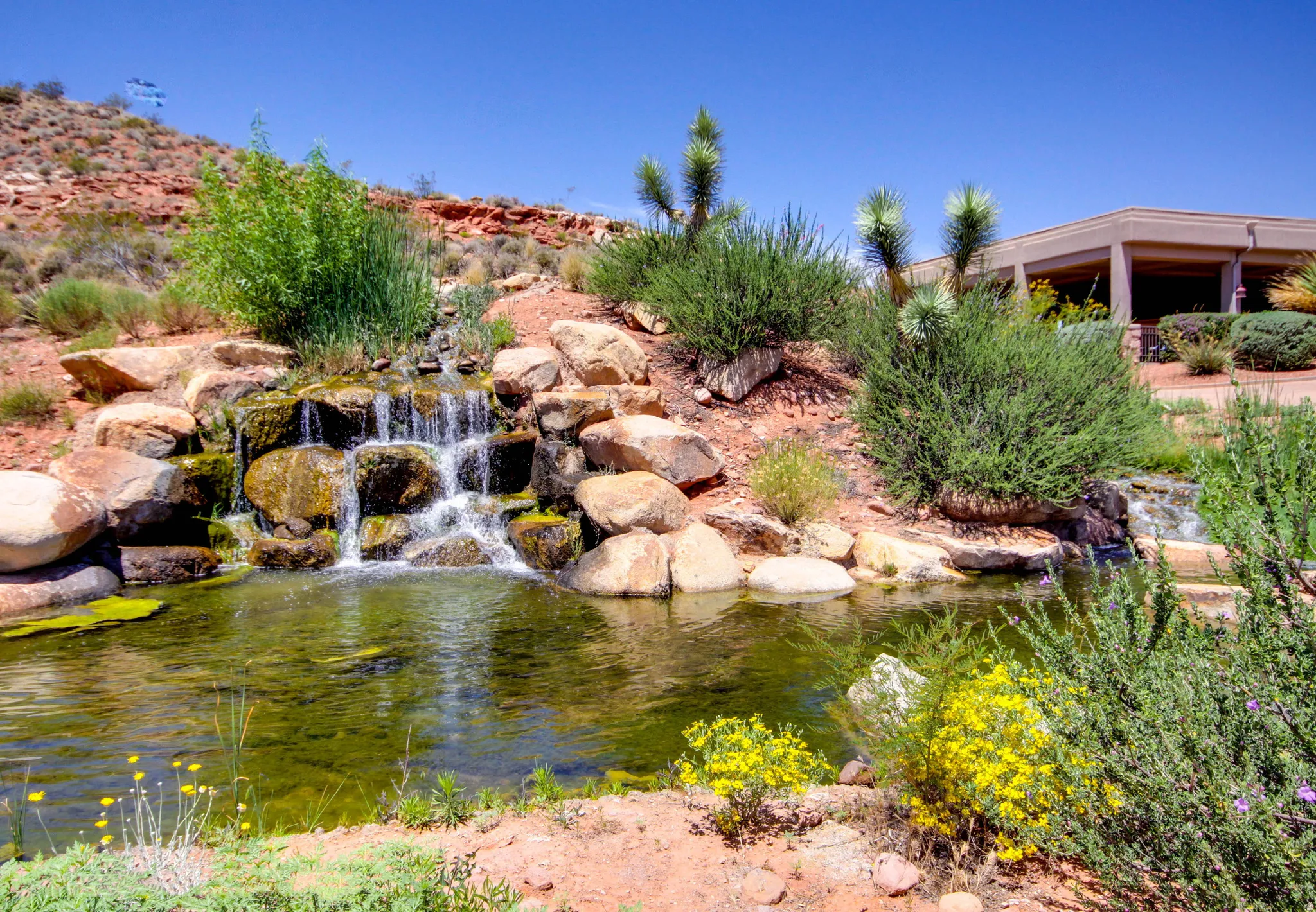 Rock waterfall feature with a pond, surrounded by desert landscaping and mature shrubs, with a building structure in the background