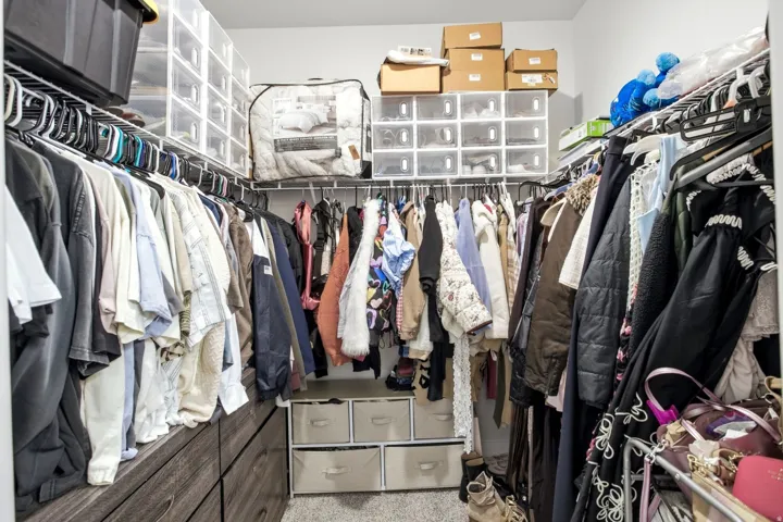 Walk-in closet featuring built-in wood-finish drawers, wire shelving, and carpet flooring