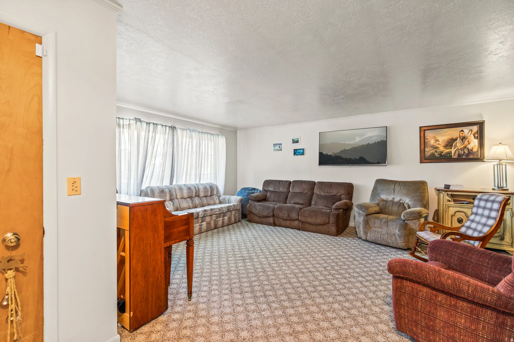 Carpeted living area with textured white walls, a large window, and light wood-finish door