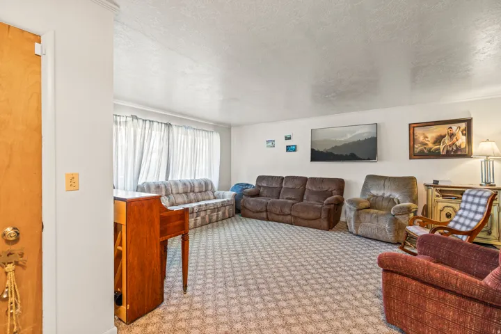 Carpeted living area with textured white walls, a large window, and light wood-finish door