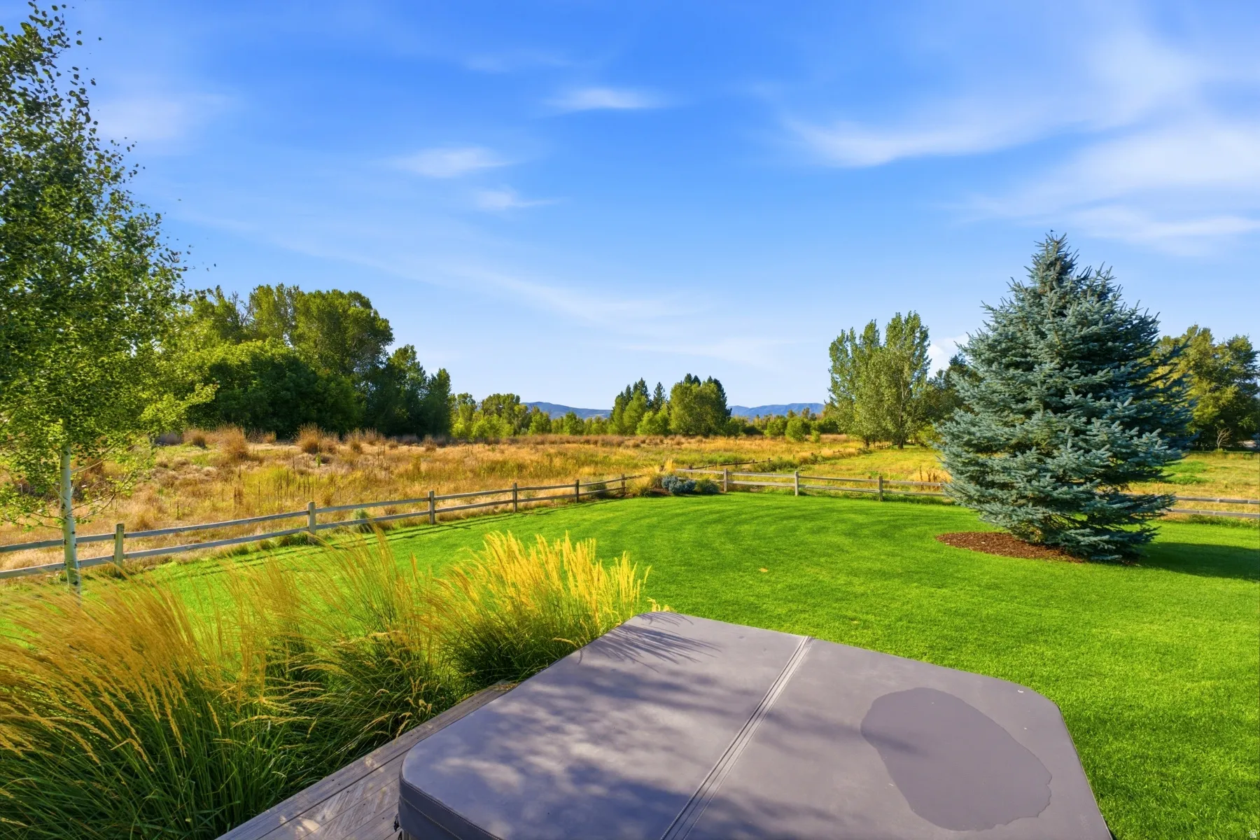 Manicured lawn with a privacy fence, mature trees, and a spa