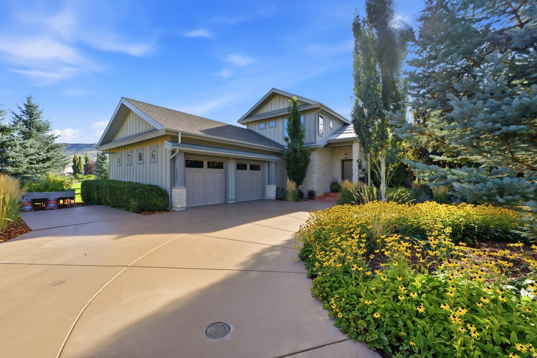 Paved driveway leading to a three-car garage, stone and siding exterior, mature evergreen trees, and vibrant yellow landscaping