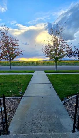 Concrete walkway leading to a landscaped front yard with a manicured lawn, mature trees, and a distant field