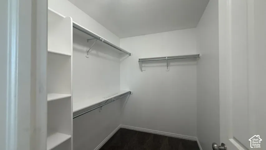 Walk-in closet featuring built-in shelving, multiple hanging rods, and dark carpet flooring