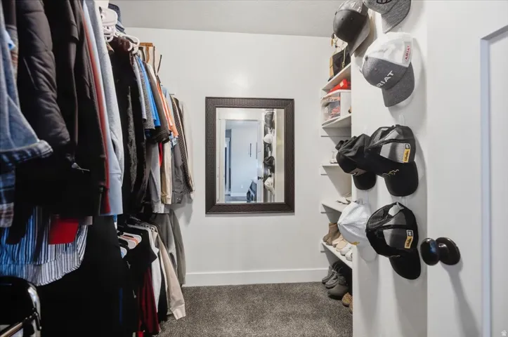 Walk-in closet featuring built-in shelving, hanging rods, framed wall mirror, and carpet flooring