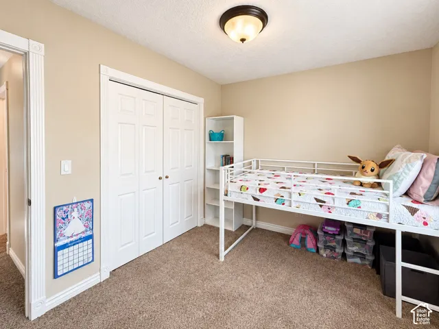 Recessed lighting, neutral wall paint, and carpeted flooring