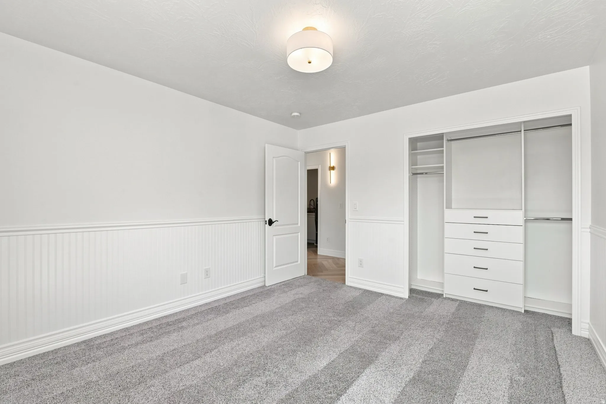 Recessed lighting, built-in closet organization system with drawers, plush carpet flooring, wainscoting, and a panel door