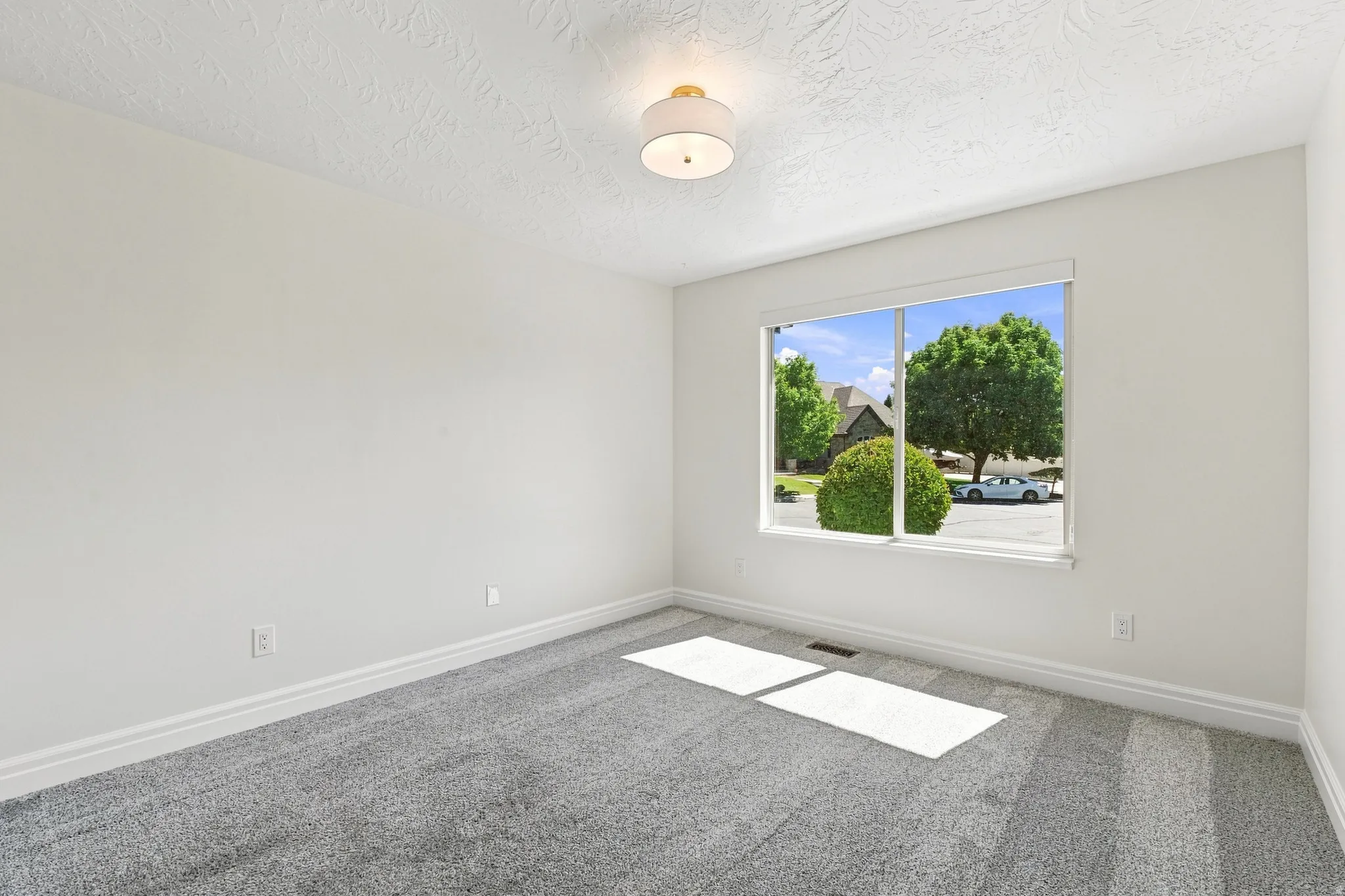 Neutral wall finish with painted trim, carpeted flooring, and a ceiling-mounted light fixture