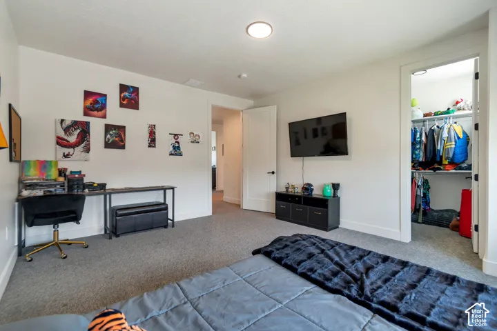 Carpeted room featuring a built-in closet with shelving and hanging rods