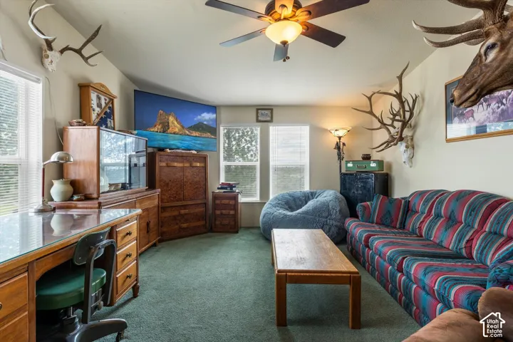 Vaulted ceilings with a ceiling fan, multiple windows, and green carpeting