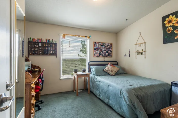 Carpeted room with a single window featuring horizontal blinds