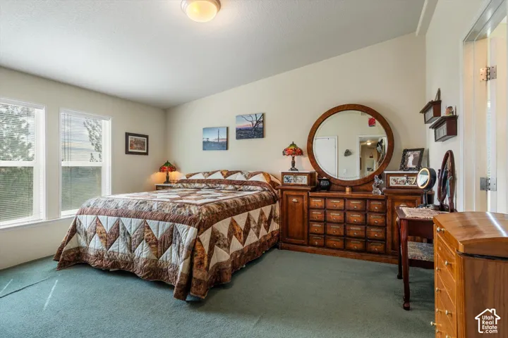 Dual windows with blinds, wall-to-wall carpeting, and a ceiling-mounted light fixture