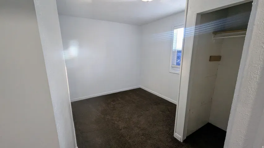 Recessed closet with built-in shelving, carpet flooring, and a single window