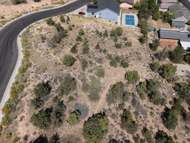 Expansive lot featuring mature natural vegetation and direct road frontage