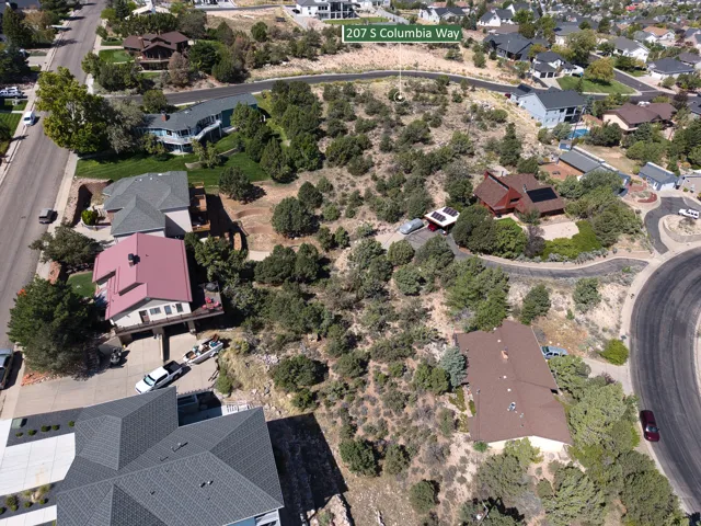 Expansive lot featuring mature trees and natural landscaping