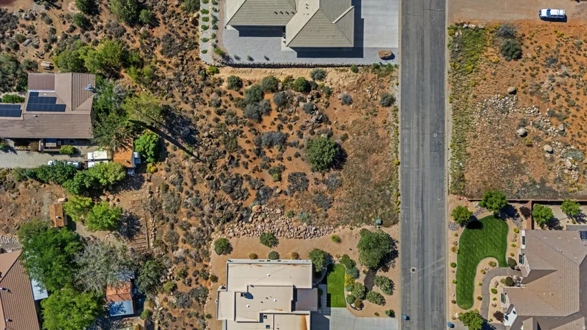 Expansive land parcel featuring natural desert flora, bordering a paved street