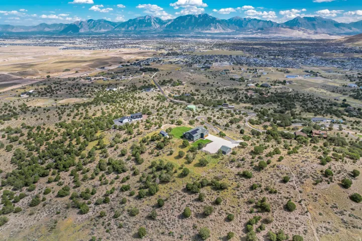 Expansive desert landscape with scattered evergreen trees