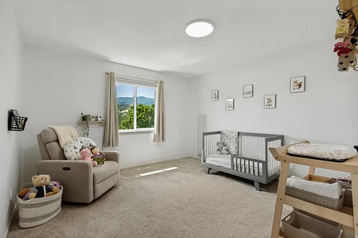 Light-colored carpeting, white walls, and a window with mountain scenery