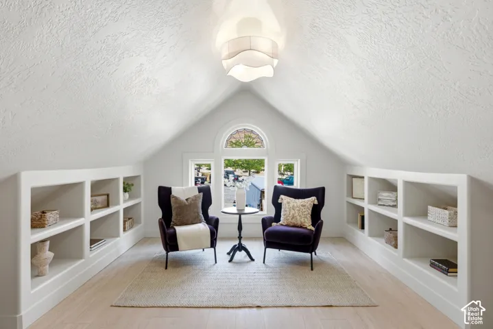 Vaulted ceiling with a textured finish