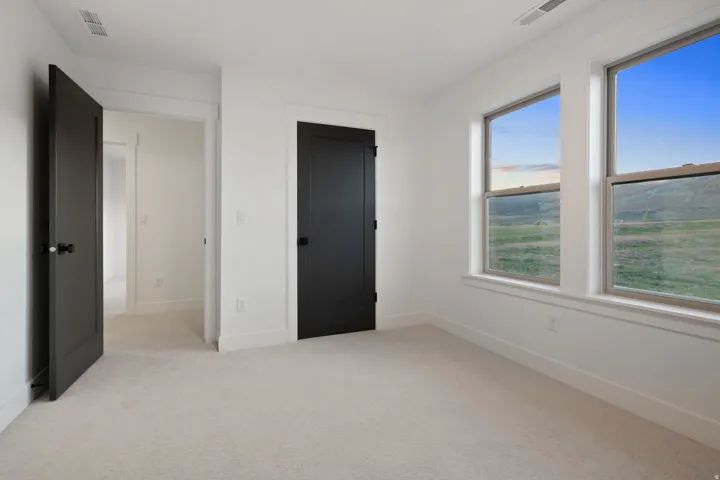 Light-colored carpeting, white walls, and dark interior doors with black hardware
