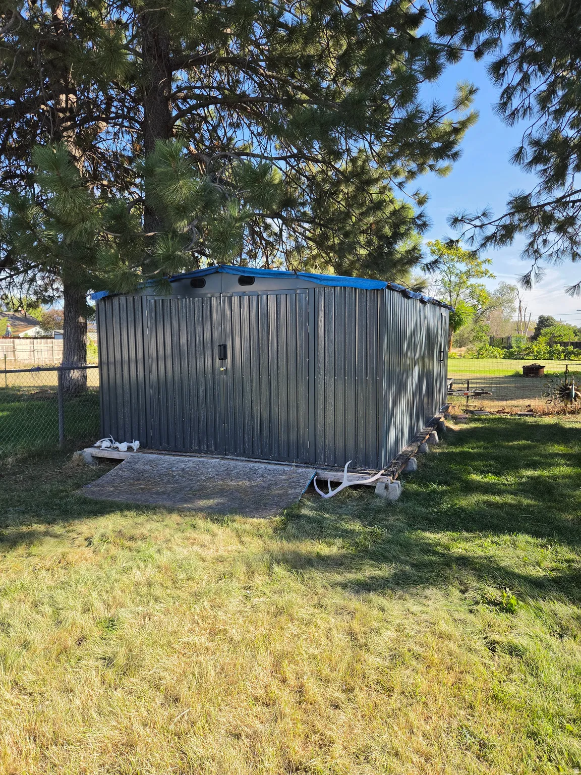 Metal storage shed with a blue tarp roof, situated on a grassy area with mature trees
