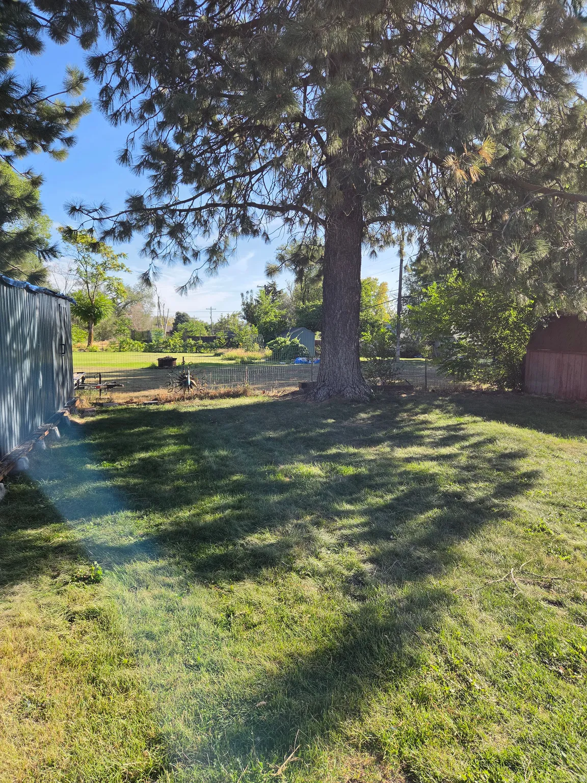 Expansive grassy yard with mature trees