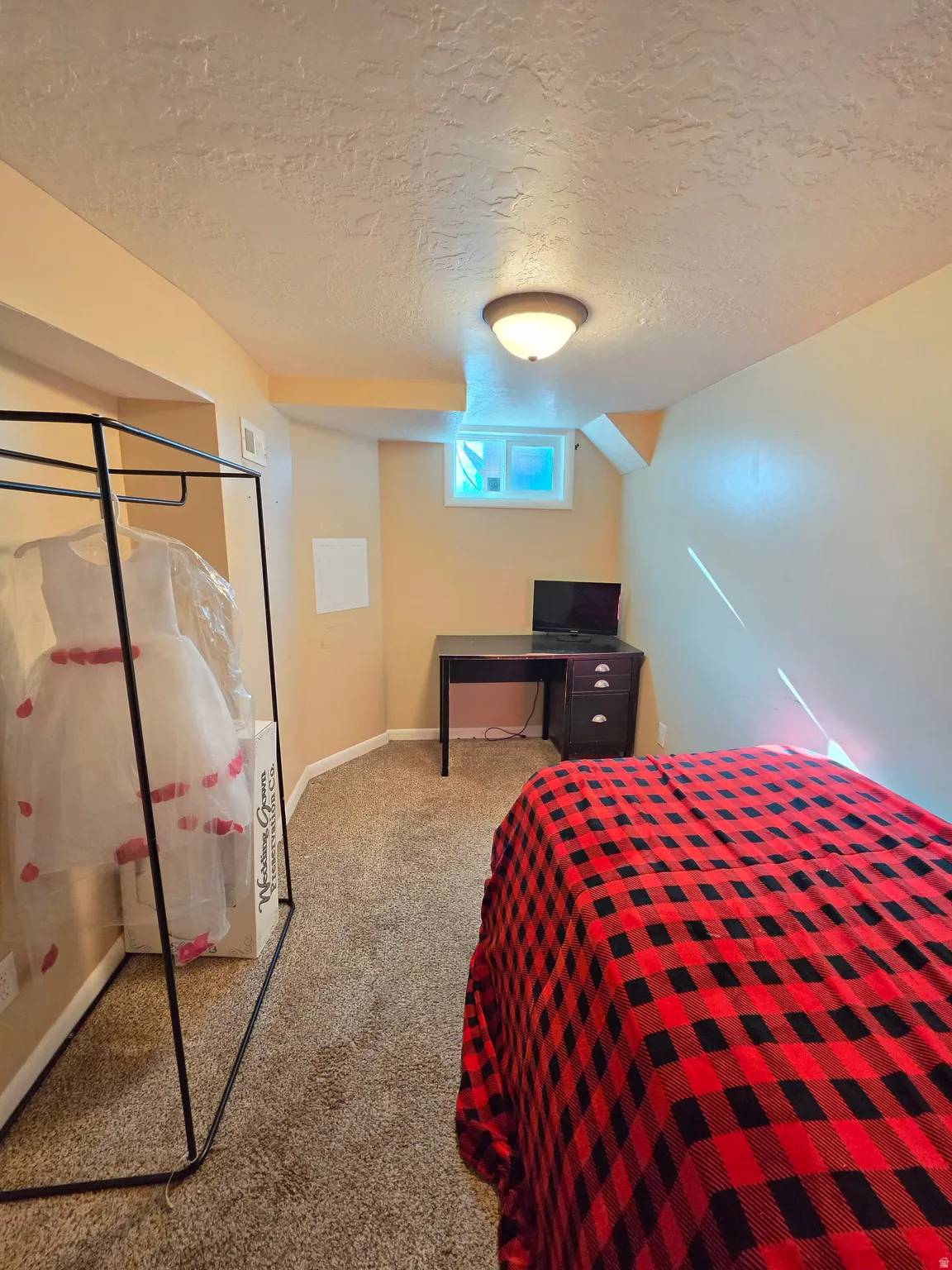 Carpeted room with a ceiling-mounted light fixture, a window, and a built-in shelf