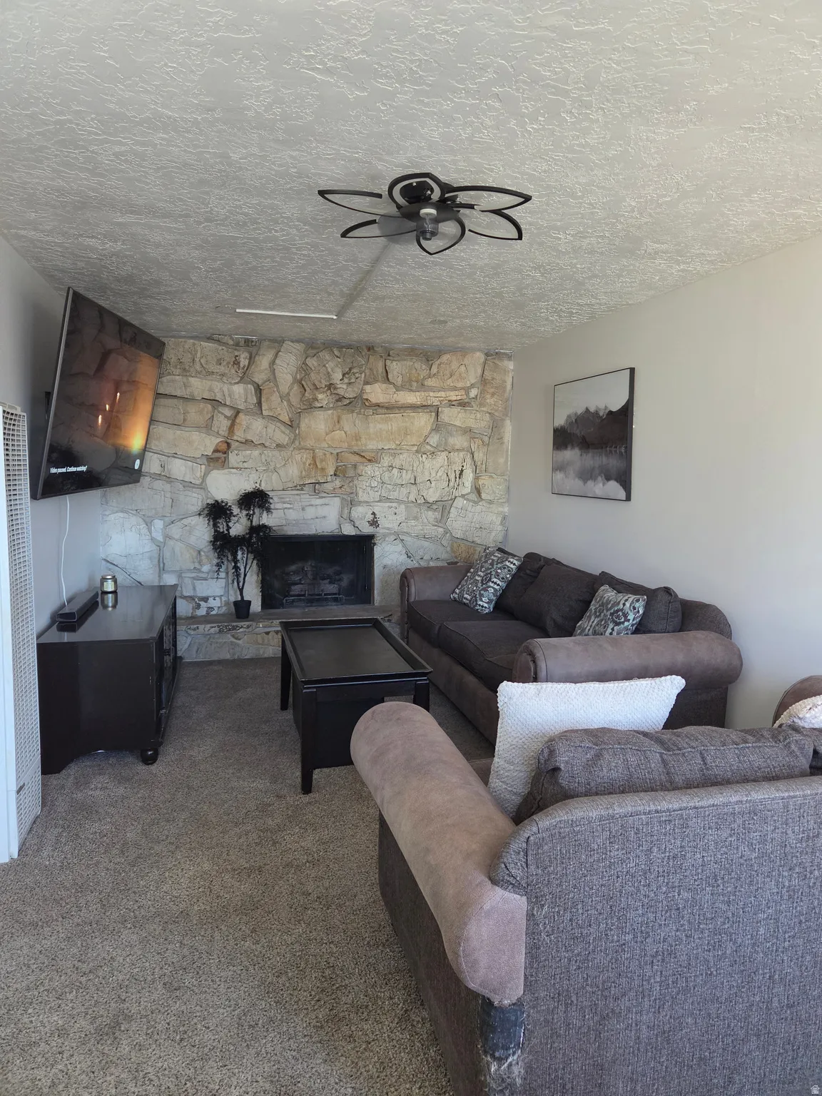 Stone-clad fireplace with a hearth, wall-mounted heater, and carpeted flooring