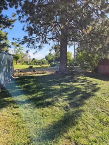 Expansive grassy yard with mature trees